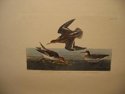 IMG_7753
