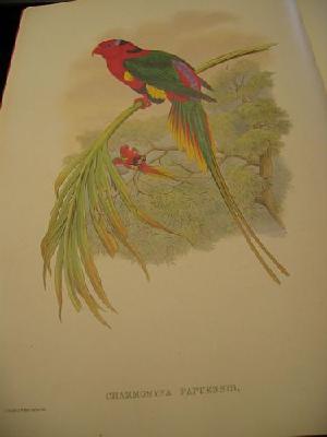 IMG_7971