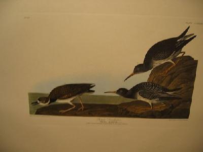 IMG_8070