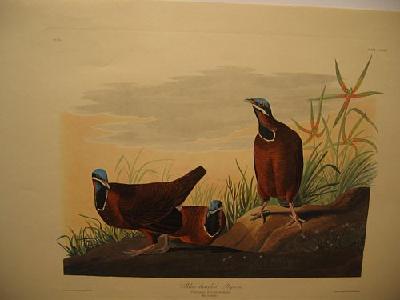 IMG_8089