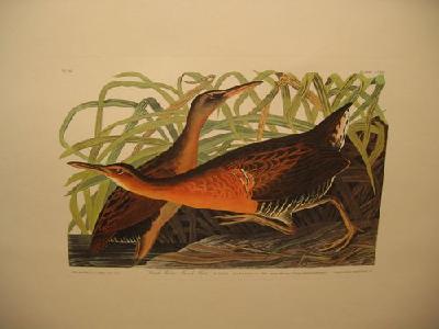 IMG_8125