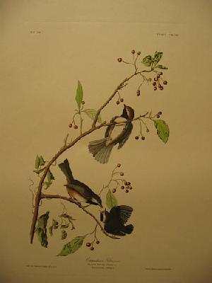 IMG_8166
