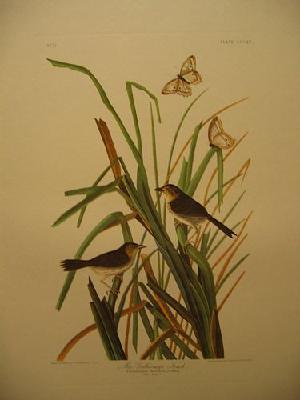 IMG_8168