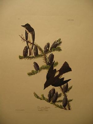 IMG_8175