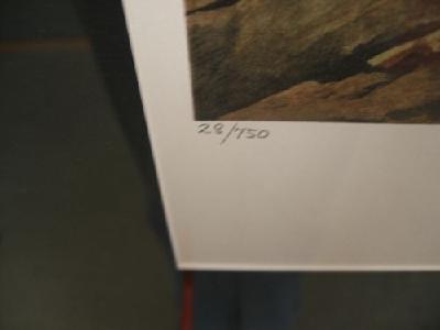 IMG_8234