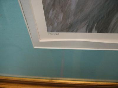 IMG_8907