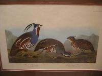 IMG_7560