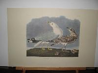 IMG_7725
