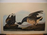 IMG_7744