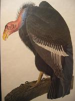 IMG_7765