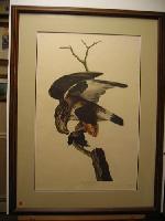 IMG_7769
