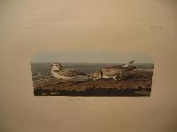 IMG_7797