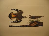 IMG_7801