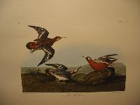 IMG_7863