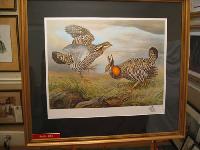 IMG_7919