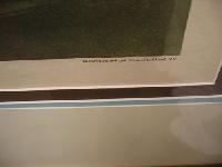 IMG_7956