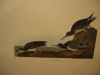 IMG_8070