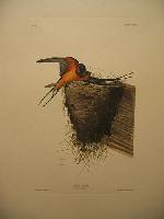 IMG_8090