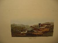 IMG_8094