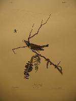 IMG_8126