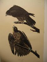 IMG_8128