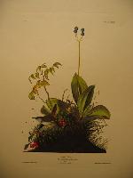 IMG_8176