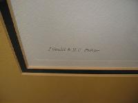 IMG_8184
