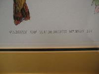 IMG_8185