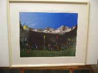IMG_8921