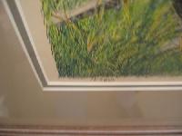IMG_9040